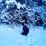 Profile Picture of cody (@cody_stewart123) on Instagram