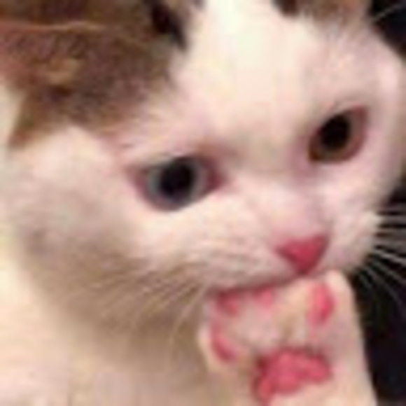 Profile Picture of Carson Strickland (@carsonstrick674) on Poshmark