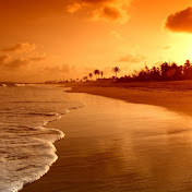 Profile Picture of Daniel Stange (@danielstange8130) on Youtube