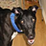 Ken Hughes - Flickr Profile Picture of Ken Hughes (@kenhughe) on Flickr