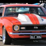 Profile Picture of David Symes (@oledog66) on Instagram