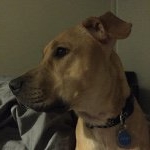 Profile Picture of Brian Zimmerman (@strandedcitizen) on Instagram