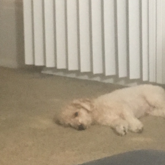 Profile Picture of Hye Lee (@haileyleeee) on Poshmark