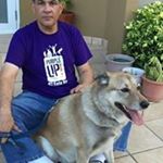 Profile Picture of Wilfred Palmer (@wilfred.palmer) on Instagram