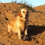 Profile Picture of Sam (@grandy_123) on Instagram