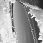 Profile Picture of Doolittle (@kimmapyroele) on Instagram