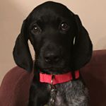 Profile Picture of Michael Dasher (@mtdasher27) on Instagram