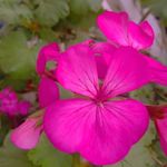 Profile Picture of Angie Valentina chasin barreto (@angievalentinach) on Instagram