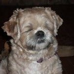 Profile Picture of Eve VanHerwynen (@evanherwynen) on Instagram