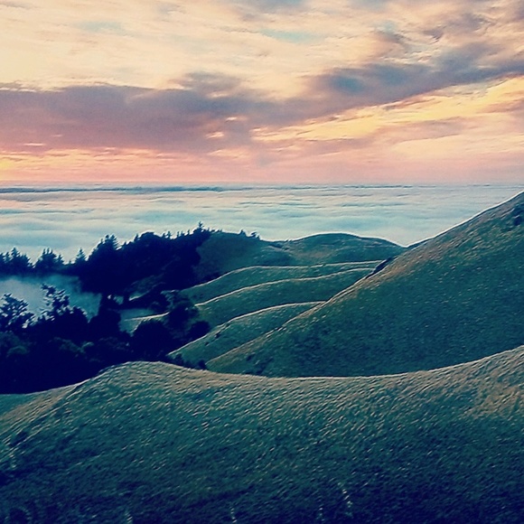 Profile Picture of Jesse Salinas (@jessesalinas) on Poshmark