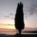 Profile Picture of Gornja Tuzla (@GornjaTuzlaEvropa) on Facebook