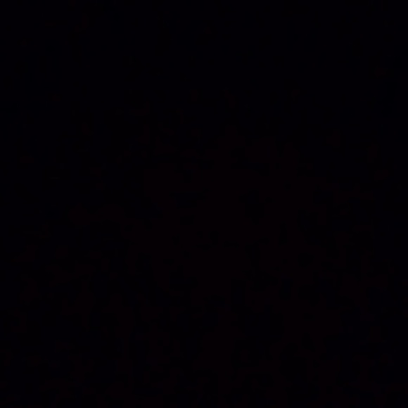 Profile Picture of Sean Odonnell (@sean_o) on Poshmark