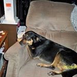 Profile Picture of Paul Sarp Sr. (@sarpsr.paul) on Instagram