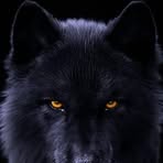 Profile Picture of Jhonatan Wissman Castro Moreno (@jhonatanwissman.castromoreno) on Facebook