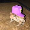 Profile Picture of Neil Miner (@@neilminer) on Tiktok