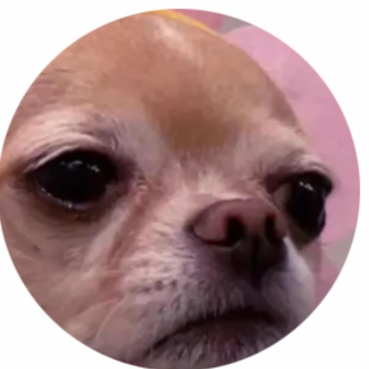 Profile Picture of JoAnne Case (@joannecase) on Tiktok