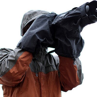 Profile Picture of Jesse Norman (@normanjesse) on Twitter