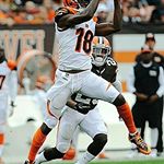 Profile Picture of Conner Adamson (@turtle__bob) on Instagram