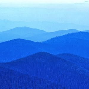 Profile Picture of william haley (@william.haley3) on Tiktok