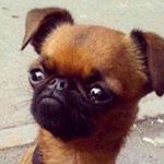 Profile Picture of Derek Rahn (@rahnderek) on Instagram