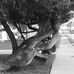 Profile Picture of Pamela Fountain (@pamela.fountain.1610) on Facebook