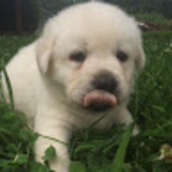 Profile Picture of Catherine Coltea (@poopemogicc) on Poshmark