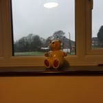 Profile Picture of Beaumont.Toby.Fallon (@tfbeaumont) on Instagram