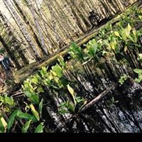 Profile Picture of Quinn Pys (@quinn-pys) on Quora