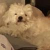 Profile Picture of LeoRut (@@leo_rut) on Tiktok