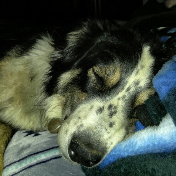 Profile Picture of Drue Morris (@drue_marie) on Poshmark