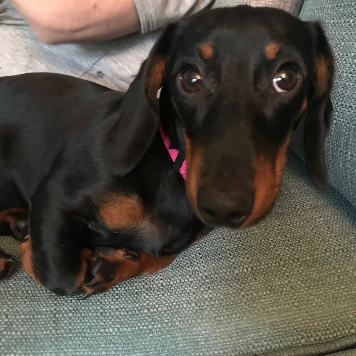 Profile Picture of Stephen Ash (@borosteve) on Tiktok