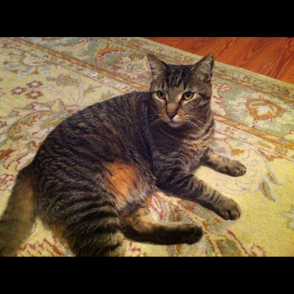 Profile Picture of Lisa Dederick (@ljd1962) on Poshmark