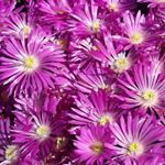 Bianka Graewert - Instagram Profile Picture of Bianka Graewert (@biankagraewert) on Instagram