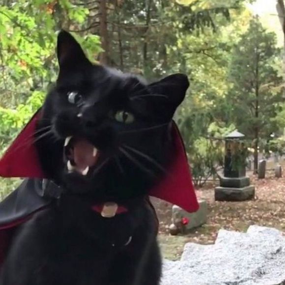 Profile Picture of Tabes Tabes (@tabes181) on Poshmark