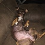 Profile Picture of Robert Hester (@rhester002) on Instagram