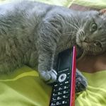 Profile Picture of Bianca Pellowska (@biancapellowska) on Instagram