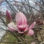 Profile Picture of Gloria Capps (@gloria.capps.7) on Facebook