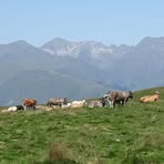 Profile Picture of Lucie Lavalette (@Lucie-Lavalette) on Facebook