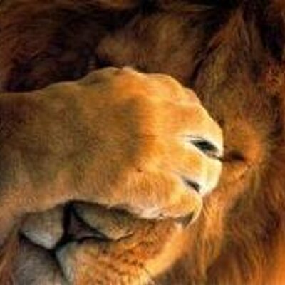 Profile Picture of Alejandro Castrejon (@zoler13) on Twitter