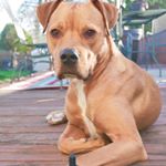 Profile Picture of Samson Zipperle (@samsonzipperle) on Instagram