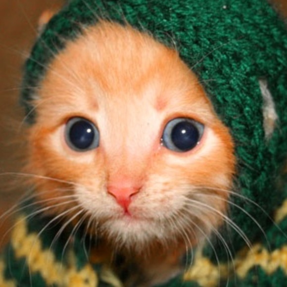 Quinn Robinson - Poshmark Profile Picture of Quinn Robinson (@quinnrobinson1) on Poshmark