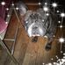 Profile Picture of Naomi Preyer (@naomi.preyer.50) on Facebook