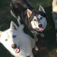 Profile Picture of Devin Hitt (@devin-hitt) on Quora