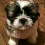 Profile Picture of Jimmymcpeake (@jimmymcpeake) on Instagram