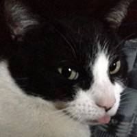 Profile Picture of Jan Jacob Sheridan (@jan-jacob-sheridan) on Quora