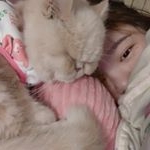 Profile Picture of 小曼 (@422_dora) on Instagram