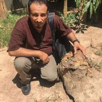 Profile Picture of Sinawi Sinawi (@sinawi-sinawi) on Quora