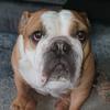Profile Picture of Julia Pritchard (@@julesruthp) on Tiktok