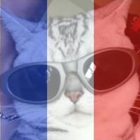 Profile Picture of Matthew Cheng (@Matthewcheng16) on Twitter