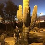 Profile Picture of Chris Quast (@chrisquast) on Instagram